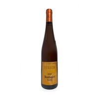 Kirchspiel Riesling Großes Gewächs - Weingut Keller
