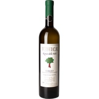Sauvignon Collio Ronco delle Mele