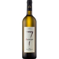 Ried Pfarrweingarten Fassreserve, Südsteiermark DAC, Große STK Ried, Steiermark, 2017, Weißwein