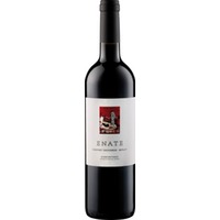 Enate Cabernet-Merlot DO