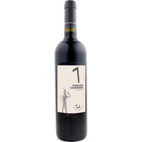 Principe Guerriero Anfora Toscana IGP trocken Bio 1,5 L - Pagani de Marchi