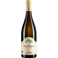 Ried Wachtberg Grüner Veltliner trocken - Weingut Zöhrer