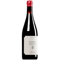 "Sgarzon" Teroldego Vigneti delle Dolomiti IGT (BIO)