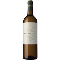 Sauvignon Blanc Rueda DO trocken - Jose Pariente