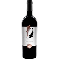 Montepulciano D'Abruzzo In & Out