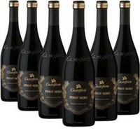Pinot Nero Igt Veneto 6 Flaschen - Casalforte
