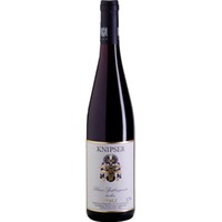 Blauer Spätburgunder - VDP. Gutswein Pfalz QbA trocken