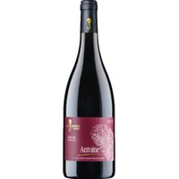 Sea Horse Antoine, Yehuda Mountains, Yehuda Mountains, 2020, Rotwein