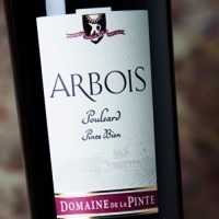 Domaine De La Pinte Arbois Poulsard Pinte Bien