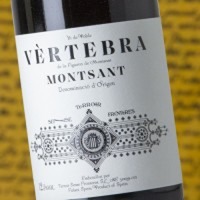 Terroir Sense Fronteres Vèrtebra de la Figuera