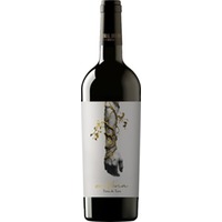 Coral Duero enVena Ribera del Duero DOP trocken - Coral Duero