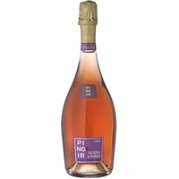 Alsina & Sardà Rosado Reserva Cava DOP brut nature - Alsina & Sardà