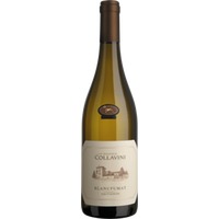 Eugenio Collavini Sauvignon Blancfumat Collio - 6Fl. á 0,75l