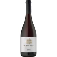 Merlot trocken - Weingut Dr. Baumann