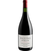 Zuccardi Poligonos Paraje Altamira Cabernet Franc