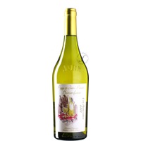 Chardonnay Ammonites