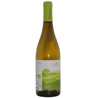 MERSINO unfiltered - VALDONICA