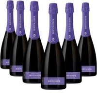 Valdobbiadene Prosecco Superiore Extra Brut Docg Audax Zero.3 6 Flaschen