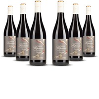 Antiche Terre Venete Valpolicella Ripasso Superiore Veneto