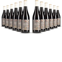 Antiche Terre Venete Valpolicella Ripasso Superiore Veneto