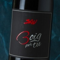 Boig Per Tu