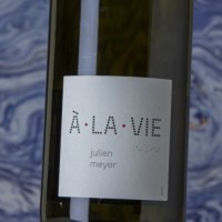Julien Meyer À La Vie