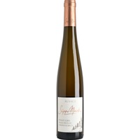 Pinot Gris Sélection de Grains Nobles Alsace AOP süß Bio 0,5 L - Sipp-Mack