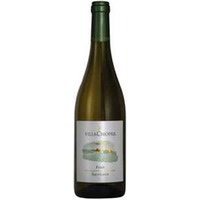 Sauvignon Blanc Friuli Grave SV