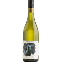 Palliser Pencarrow Sauvignon Blanc, Wairarapa, Wairarapa, 2023, Weißwein