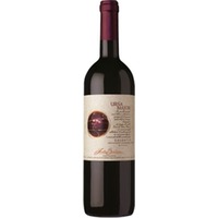 Ursa Major Salento IGP "ROSSO" trocken - Cantine Santa Barbara