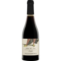 Raboso Del Passito Piave DOC süß 0,5 L - Villa Canthus