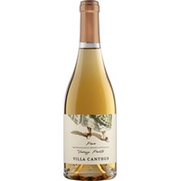 Verduzzo Passito Piave DOC süß 0,5 L - Villa Canthus