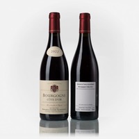 Bourgogne Côte-d'Or rouge