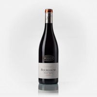 Bourgogne Pinot Noir