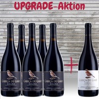 Upgrade-Paket: 5x Cabeça de Gaio + 1x Cabeça de Gaio RESERVA (6x 0,75 l
