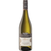 Divino Terroir Nordheimer Vögelein Silvaner, Trocken, Franken, Franken, 2023, Weißwein