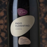 Pago Florentino