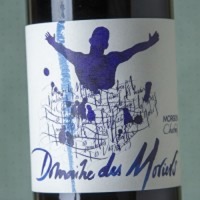 Domaine des Moriers Morgon Charmes