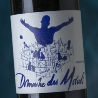 Domaine des Moriers Moulin à Vent