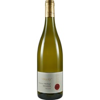 Wiesenbronner Wachhügel Silvaner VIS-Á-VIS trocken Bio - Weingut Patrizierhof