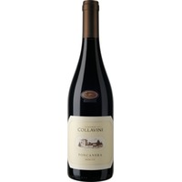 Merlot Poncanera Venezia Giulia IGT