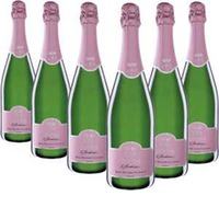 Opera Rosè Spumante Brut Metodo Classico 6 Flaschen - Le Marchesine