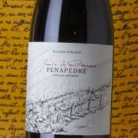 Quinta do Estranxeiro Penapedre