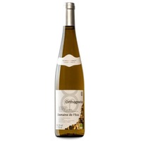 Domaine de l'Ecu Orthogneiss