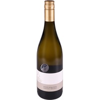 Weisser Burgunder trocken - Weingut Scheller