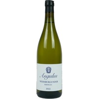 Angulus Rheingau Weißburgunder
