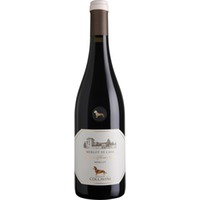 Merlot di Casa Venezia Giulia, Veneto IGT, Friaul, 2022, Rotwein