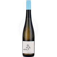 Riesling Strasser Weinberge Arndorfer