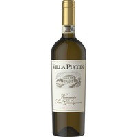 Vernaccia di San Gimignano DOCG Villa Puccini