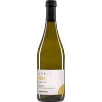 Frizzante 1884 Pignoletto DOC trocken - La Marmocchia